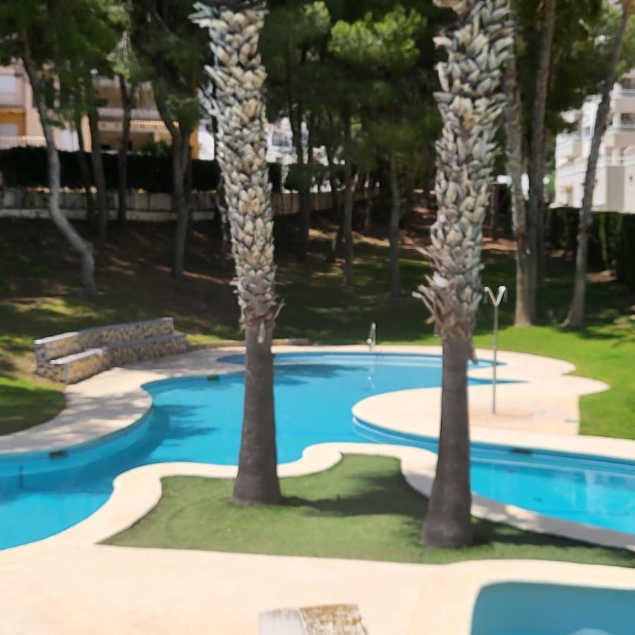 Apartamento Ines, Dehesa De Campoamor,900M From The Sea , Swimming Pool & Tennis Court Exterior photo